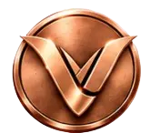 Pin de graduação Bronze Venexia